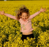 Canola Trail - VIC Tourism