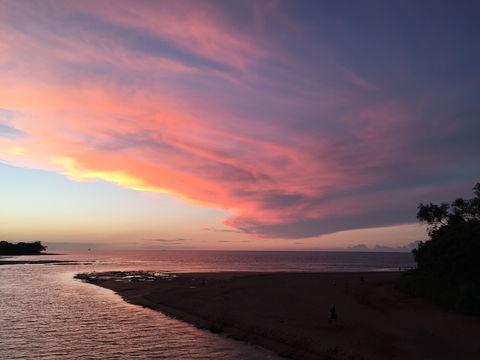 Casuarina Coastal Reserve - VIC Tourism 0