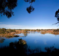 Cecil Hoskins Nature Reserve - VIC Tourism