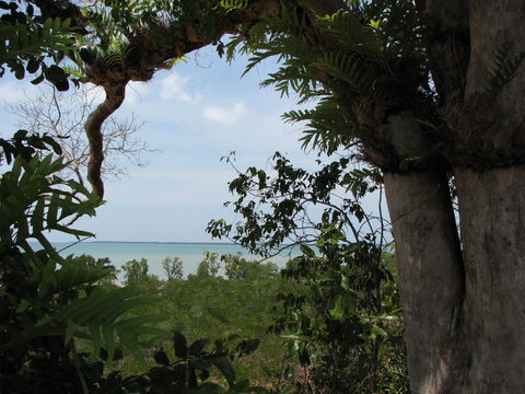 Channel Point Coastal Reserve - VIC Tourism 0