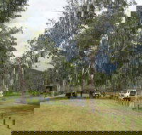 Chaelundi National Park - VIC Tourism