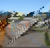 Darkes Forest Riding Ranch - VIC Tourism