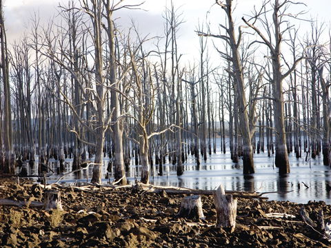Derwent Valley And Central Highlands - VIC Tourism 1
