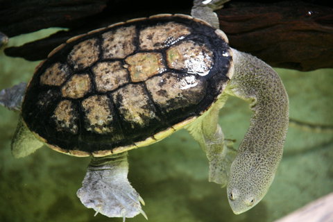 Discover Deadly - VIC Tourism 1