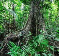 Djiru National Park - VIC Tourism