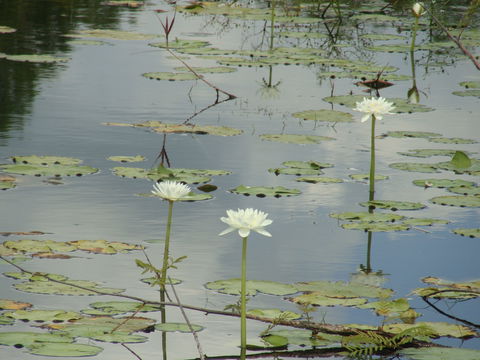 Djukbinj National Park - VIC Tourism 1