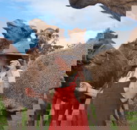 DromeDairy Body and Skin - VIC Tourism