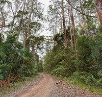 End Peak walking track - VIC Tourism