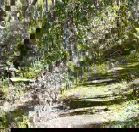 Euglah Rock Walking Track - VIC Tourism