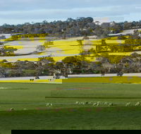 Fini Olives - VIC Tourism