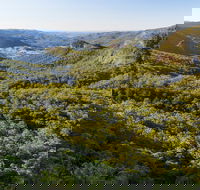 Gold Coast Hinterland Great Walk - VIC Tourism