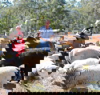Haigslea EWE Nique Hobby Farm - VIC Tourism