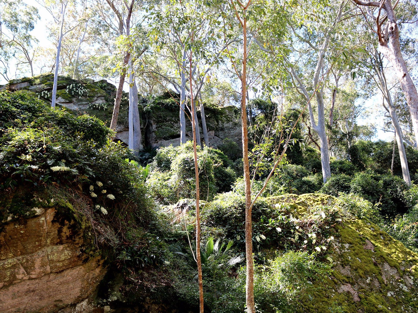  VIC Tourism