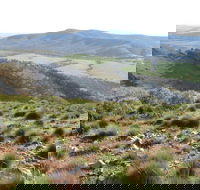 Horseshoe Rim 4WD Adventure Track - VIC Tourism