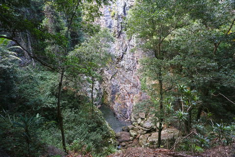 Kondalilla Falls Circuit, Kondalilla National Park - VIC Tourism 0