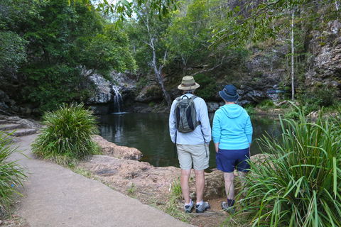Kondalilla Falls Circuit, Kondalilla National Park - VIC Tourism 1
