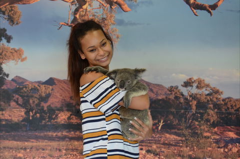 Kuranda Koala Gardens - VIC Tourism 0