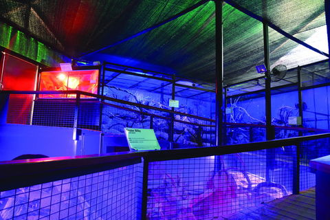 Kuranda Koala Gardens - VIC Tourism 2