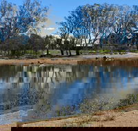 Lake King Wetlands at Rutherglen - VIC Tourism