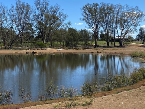Lake King Wetlands At Rutherglen - VIC Tourism 0