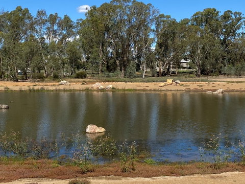 Lake King Wetlands At Rutherglen - VIC Tourism 1