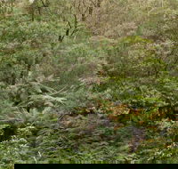 Lind National Park - VIC Tourism