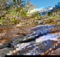 Little Dandahra Creek Walking Track - VIC Tourism