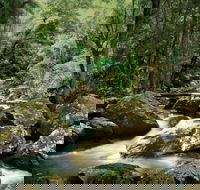 Maleny - VIC Tourism