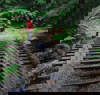 Montezuma Falls - VIC Tourism