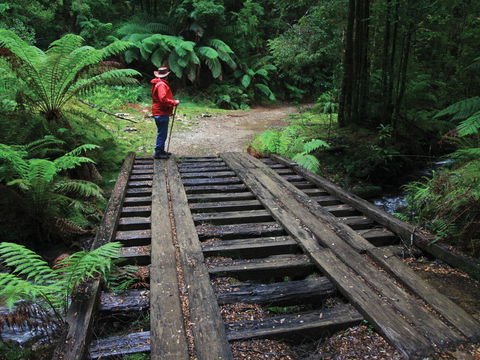 Montezuma Falls - VIC Tourism 0