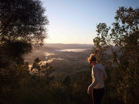 Mount Arthur Reserve - VIC Tourism 0