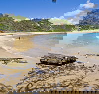 Nambucca Heads Beaches - VIC Tourism