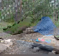Northbrook Mountain Bush Camp - VIC Tourism