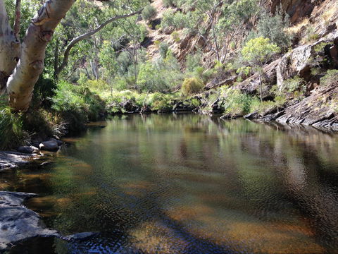 Onkaparinga River National Park - VIC Tourism 2