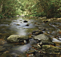 Plateau Circuit Loop Trail - VIC Tourism