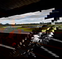 Reed Beds Bird Hide Boardwalk - VIC Tourism