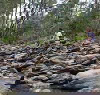 Rocksberg Park Heritage Reserve - VIC Tourism