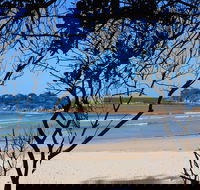 Sandon Beach - VIC Tourism