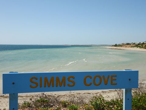 Simms Cove Lookout And Beach, Moonta Bay - VIC Tourism 0
