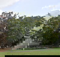 State Square Banyan Tree - VIC Tourism