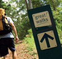 Sunshine Coast Hinterland Great Walk - VIC Tourism