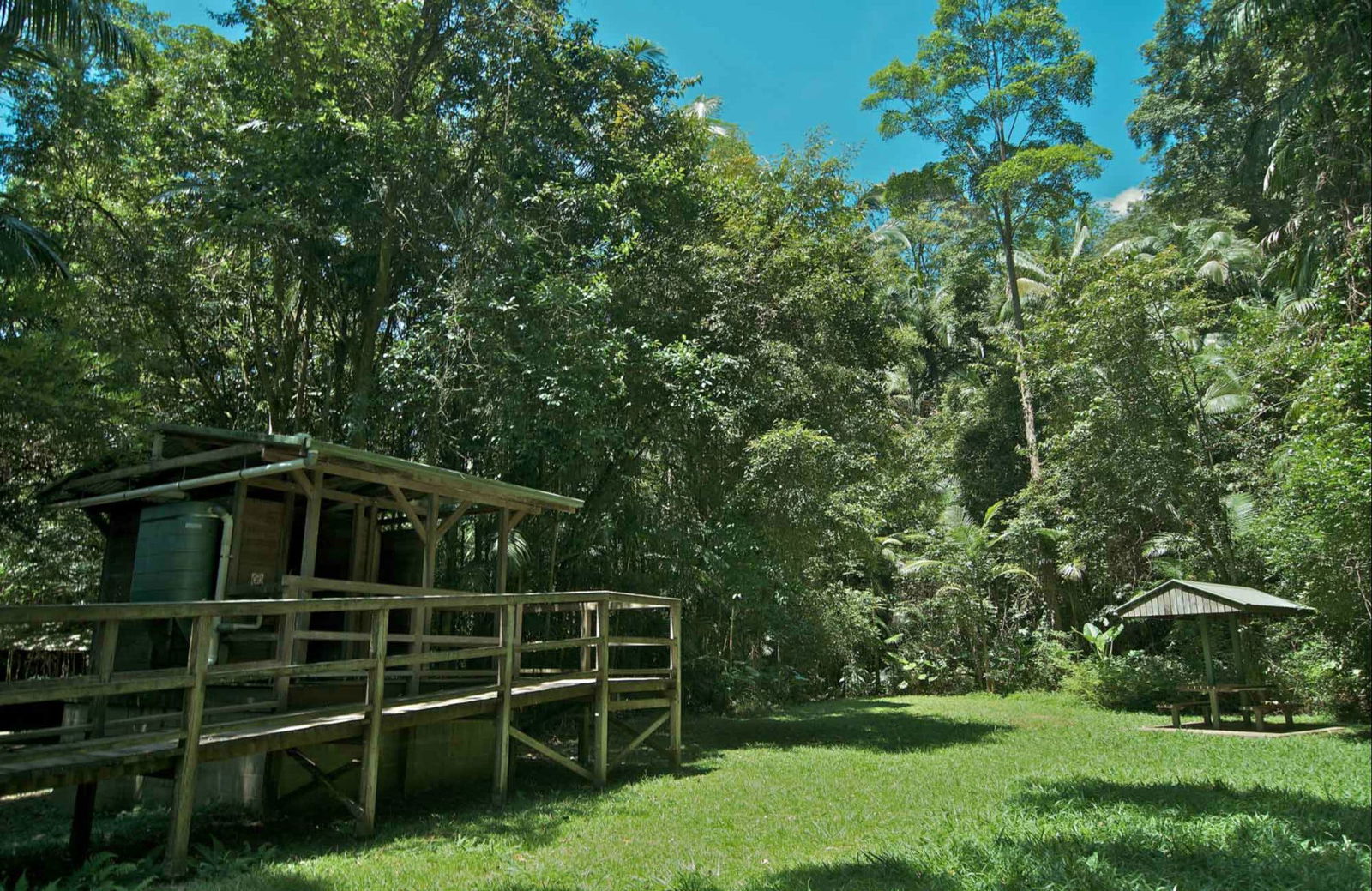 Terania Creek NSW VIC Tourism