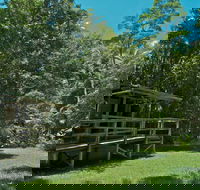 Terania Creek Picnic Area - VIC Tourism