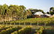 Tom Cullity Drive, Margaret River Gourmet Food And Wine Trail - thumb 1