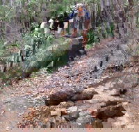 Turner Hill Mountain Bike Trail Murray - VIC Tourism
