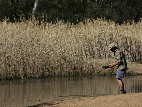 Wooldridge Recreation And Fossicking Reserve - VIC Tourism 2