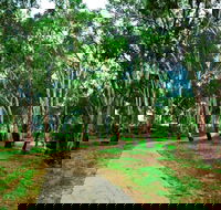 Adungadoo Pathway - VIC Tourism