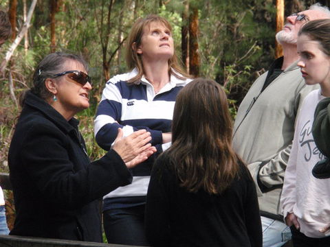 Ancient Empire Walk, Valley Of The Giants - VIC Tourism 1