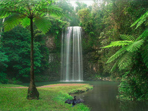 Atherton Tablelands - VIC Tourism 0