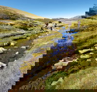 Australian Alps Walking Track - VIC Tourism